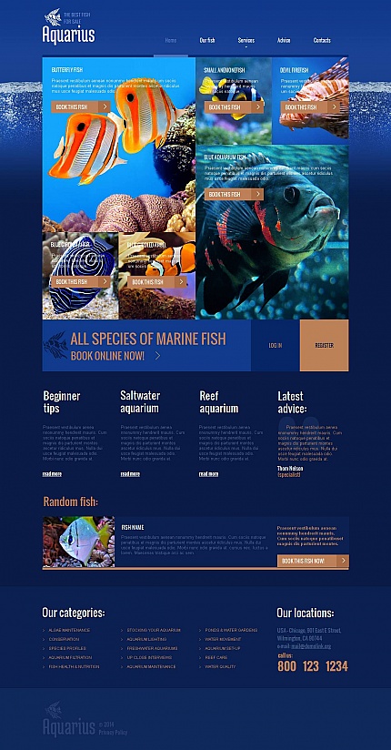 Template 49040   aquarium moto cms html template