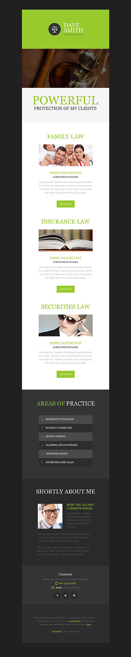 Template 53195   lawyer responsive newsletter template  mailchimp ready campaign monitor ready