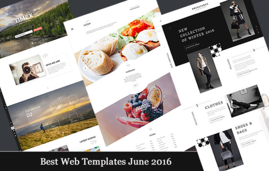 Best Web Templates june 2016