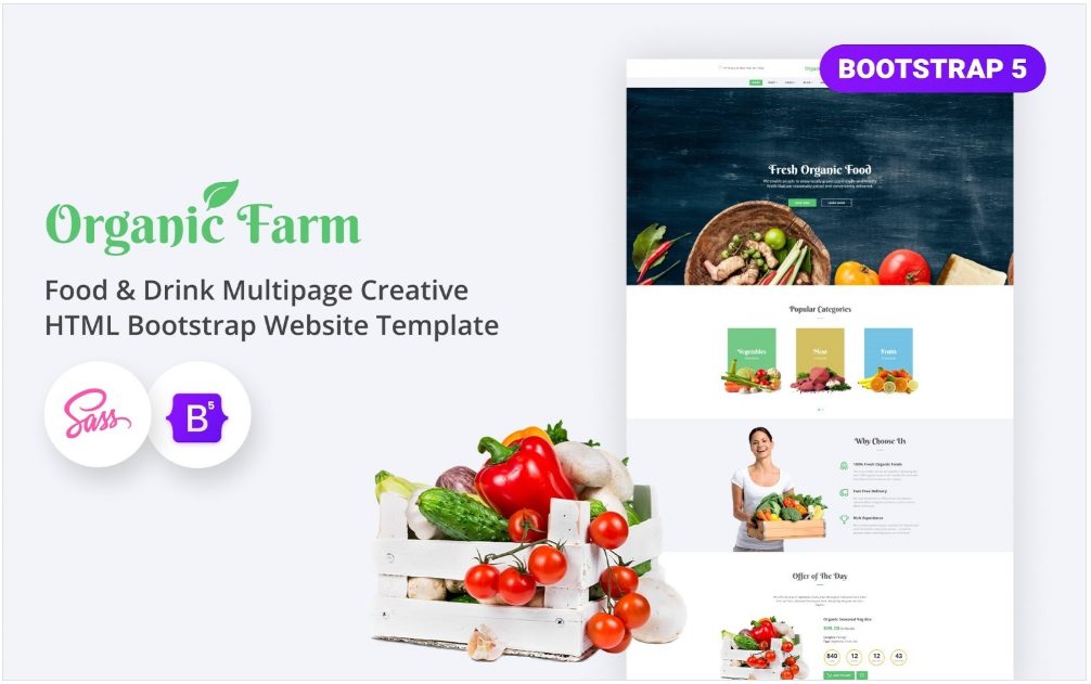 Image | best website templates | entheosweb Image