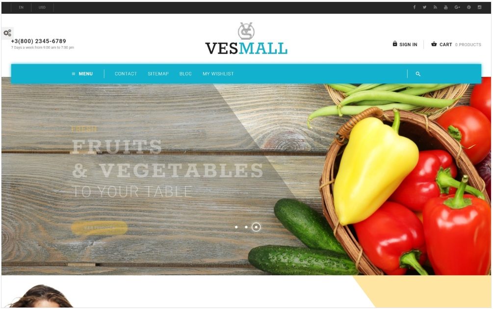 Image | new and fresh website templates | entheosweb Image