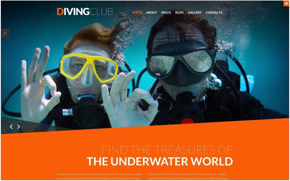 Image | bestselling responsive website templates from our success stable | entheosweb Image