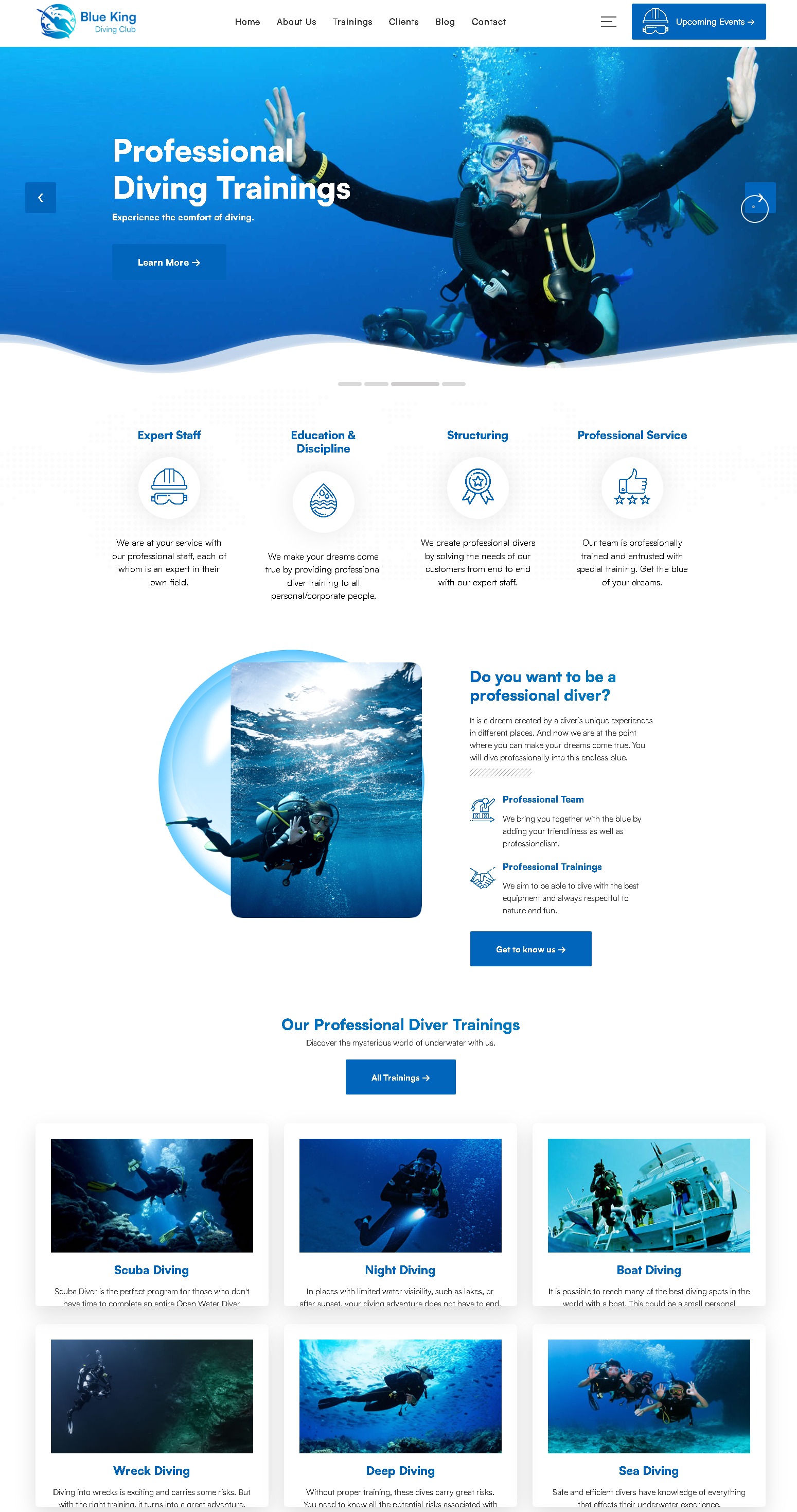 Blueking   diving club wordpress theme