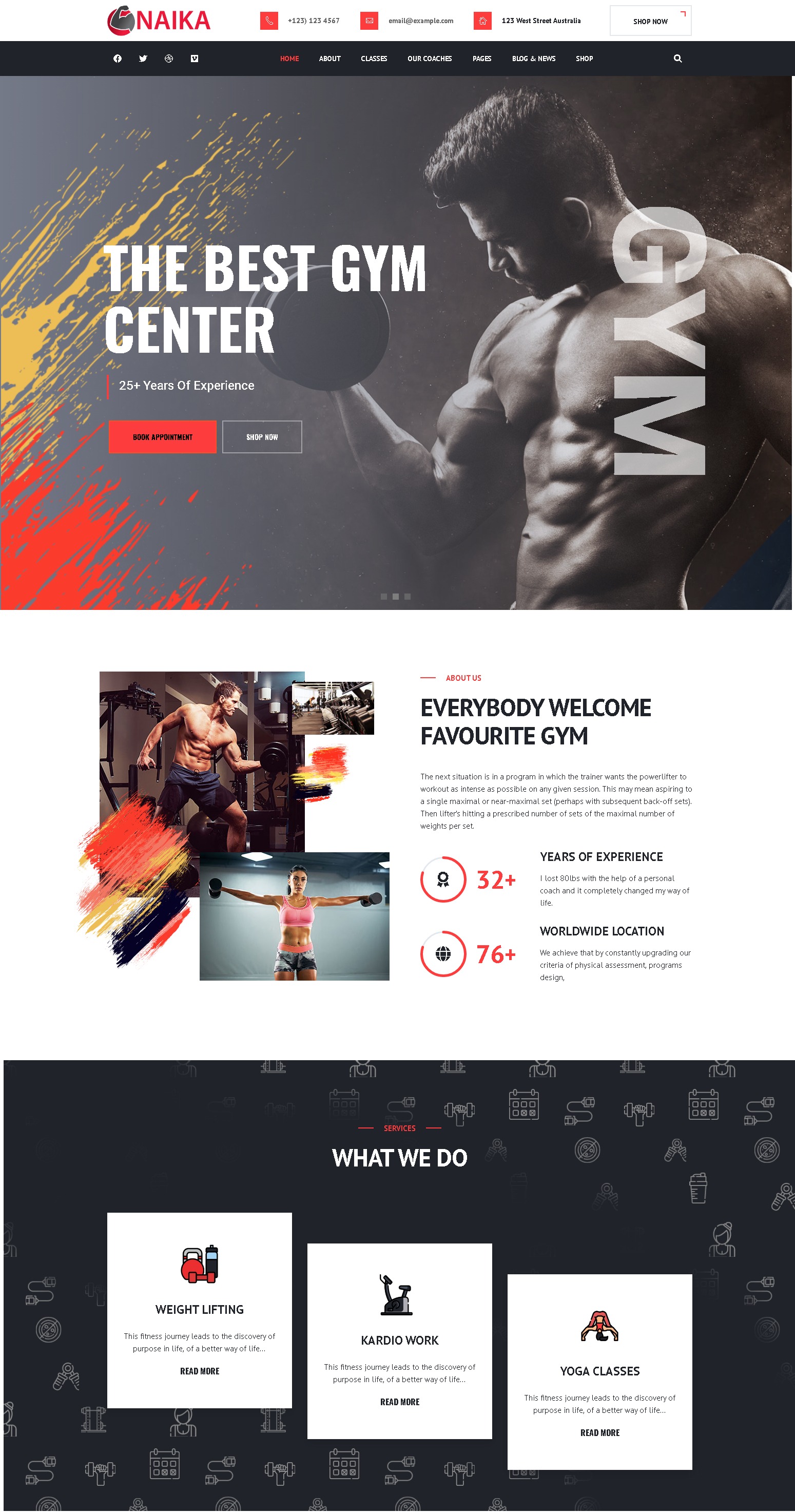 Naika  just another wordpress site