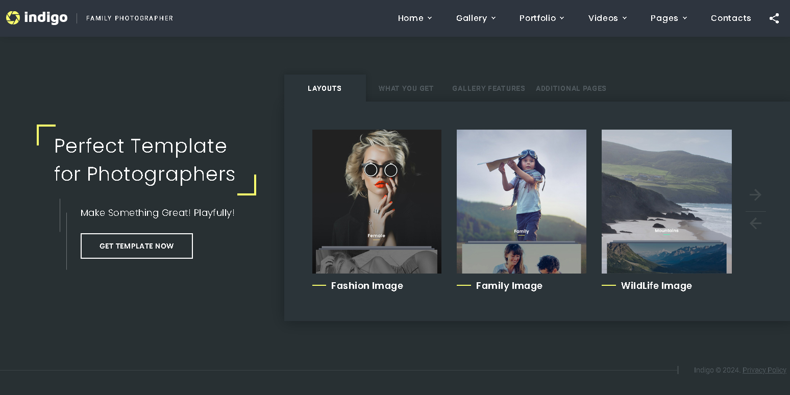 Indigo   photo  video portfolio multipurpose html website template