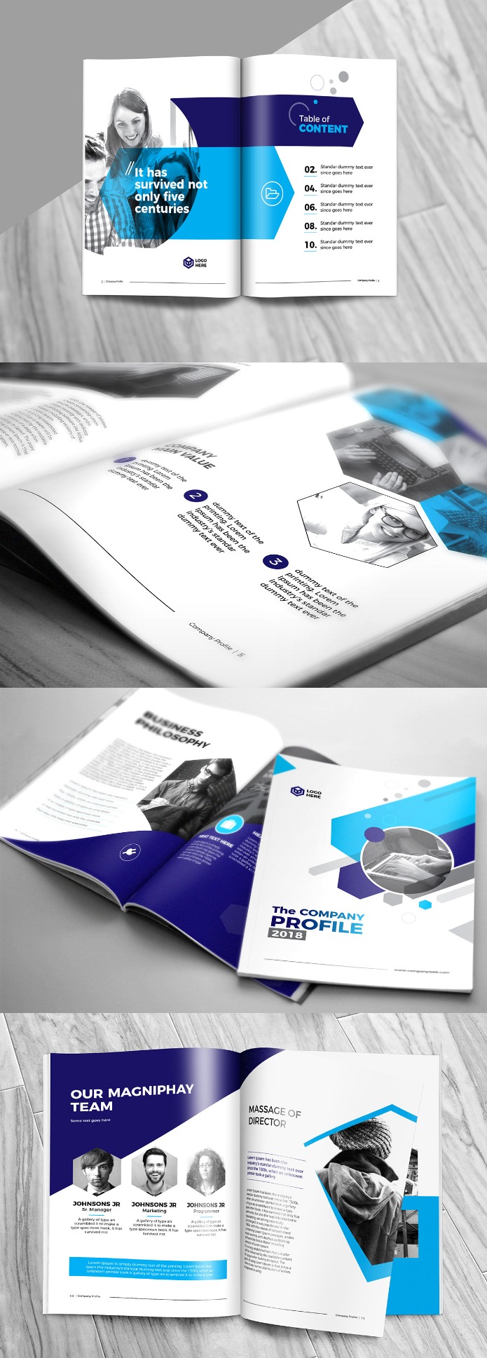 Classic business profile template