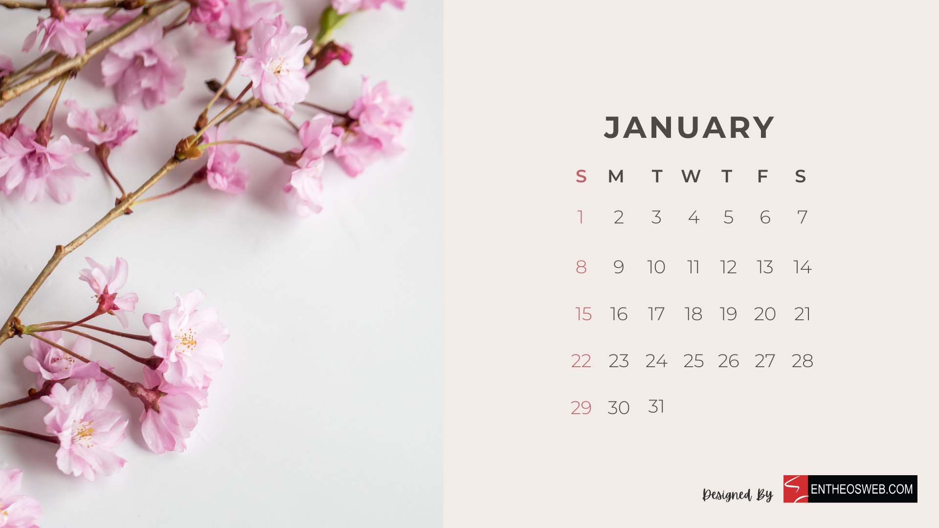 Beautiful Flowers 2026 Monthly Calendar For Print EntheosWeb Beautiful Flowers 2026 Monthly Calendar For Print EntheosWeb
