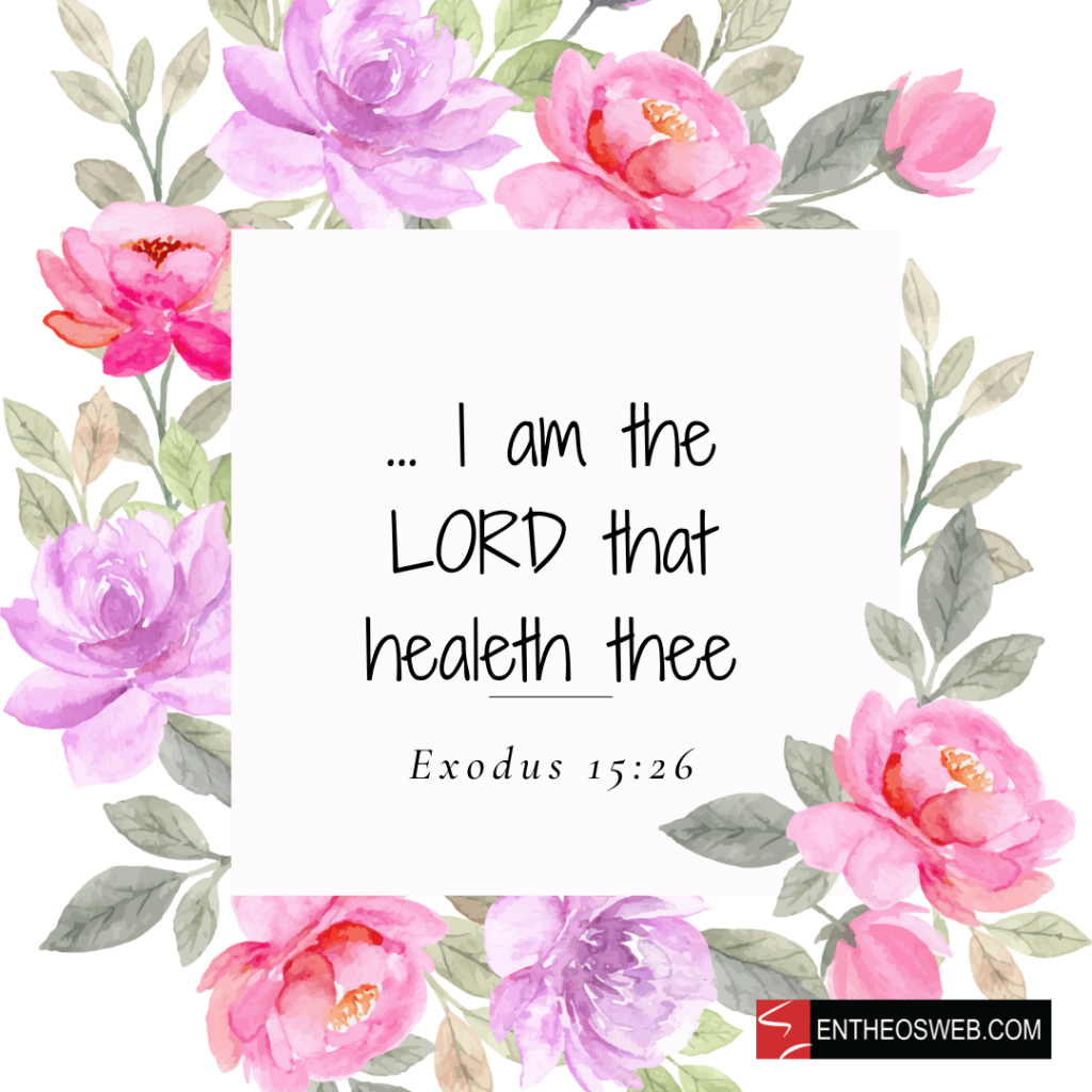 Encouraging Bible Verses set on a Floral Background | EntheosWeb