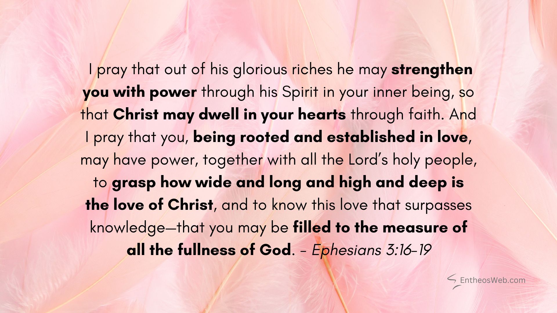 Ephesians 3 16 19 bible verse desktop wallpaper | christian desktop wallpaper with encouraging bible verses | entheosweb Pink feathered background with the ephesians 31619 bible verse in bold black text about being strengthened with power through the spirit and rooted in christs love Ephesians 3 16 19 bible verse desktop wallpaper