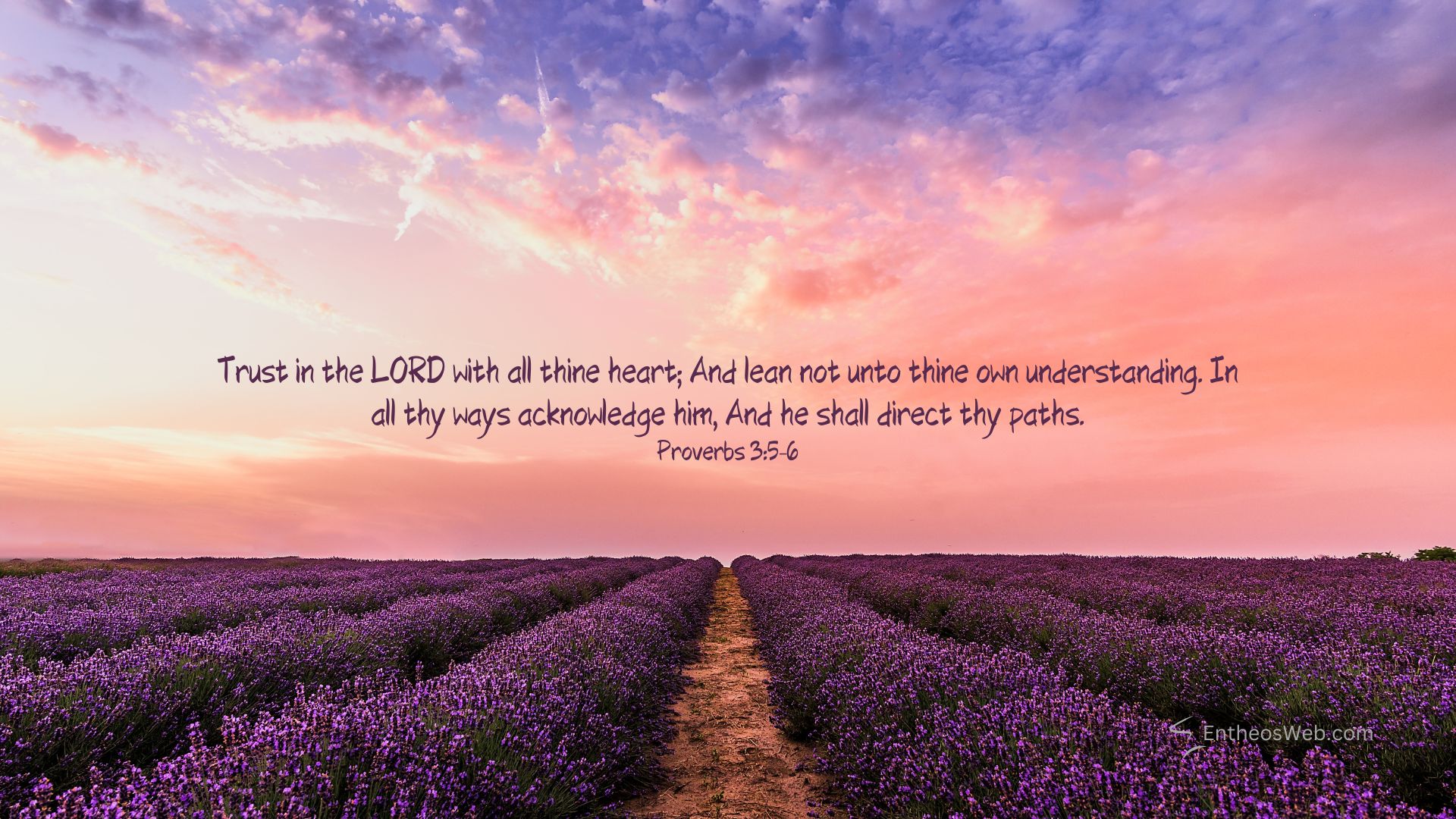 Sky christian desktop wallpaper designed by entheosweb | christian desktop wallpaper with encouraging bible verses | entheosweb Lavender fields at sunset with a central biblical quote proverbs 356 across the sky Sky christian desktop wallpaper designed by entheosweb