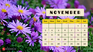 November 2024 calendar flowers