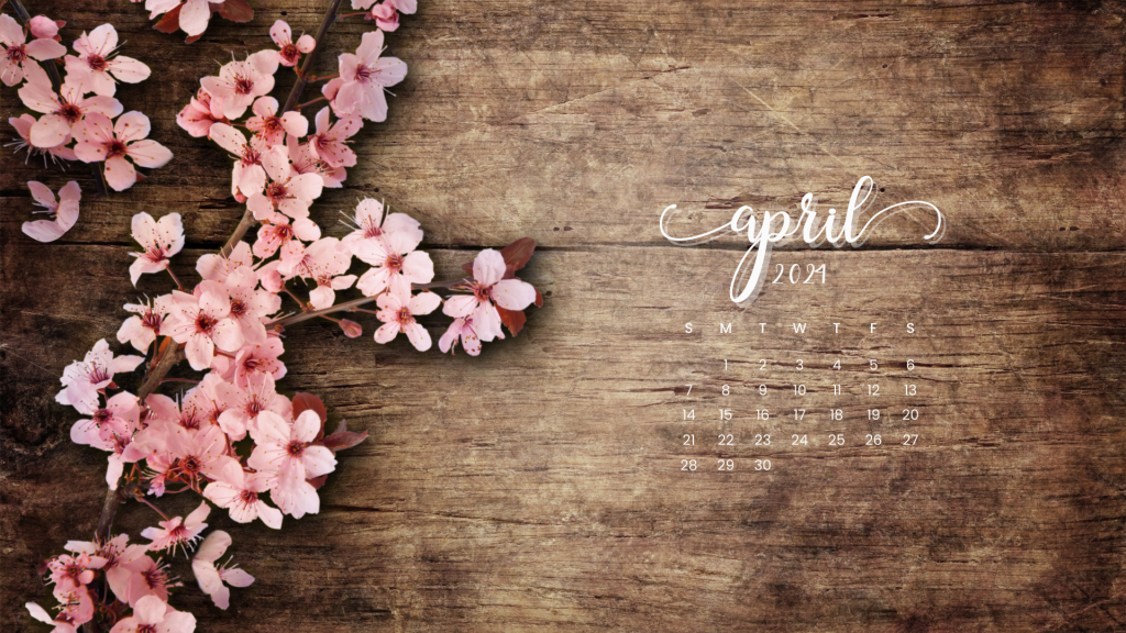 Cherry blossoms april 2024 calendar desktop wallpaper designed by entheosweb