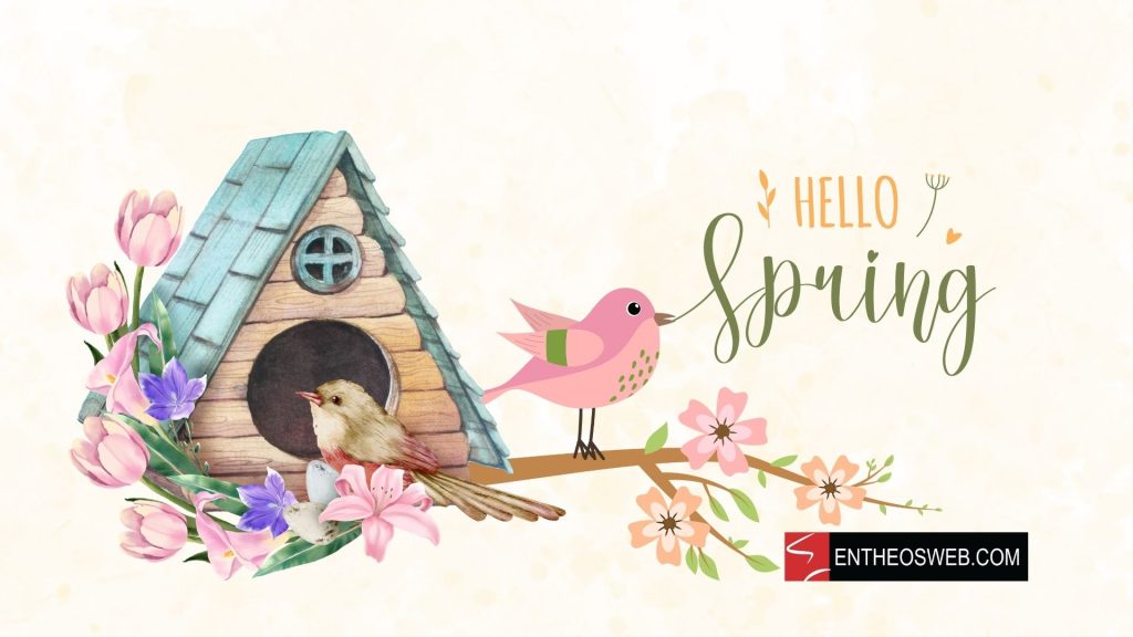 Hello spring desktop wallpaper   birds and birdhouse