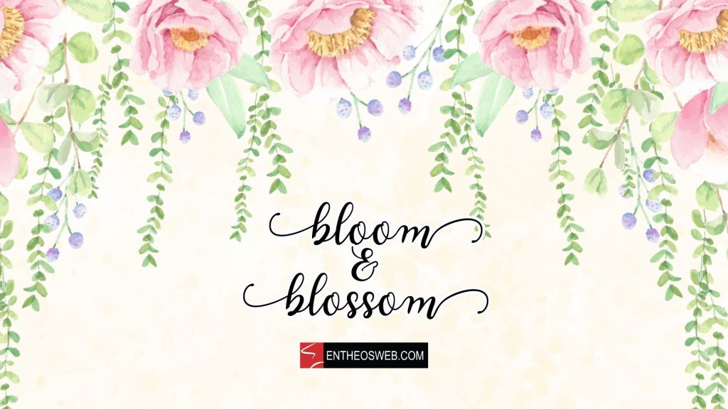 Bloom and blossom desktop wallpaper