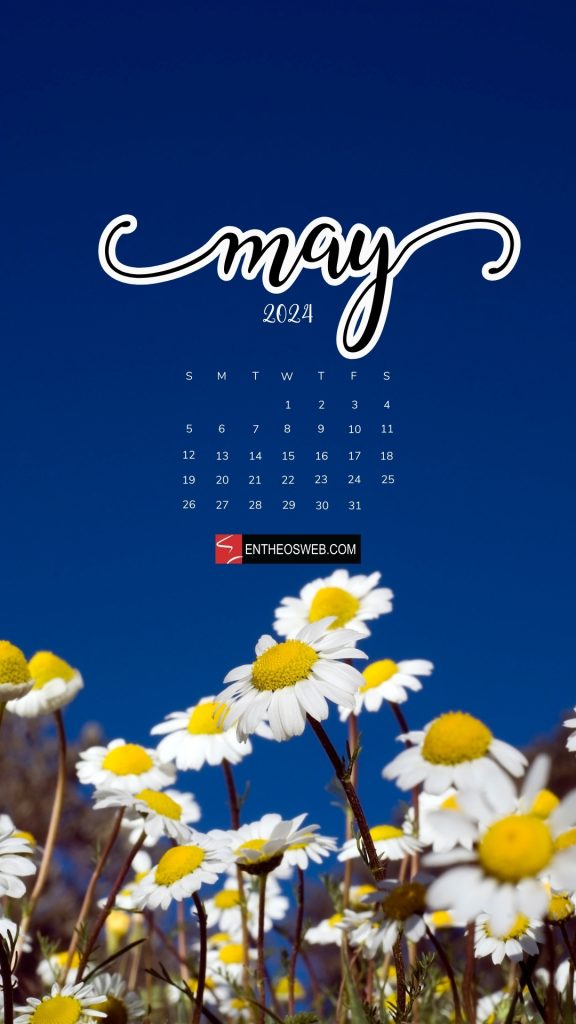 Daisies may 2024 phone wallpaper calendar