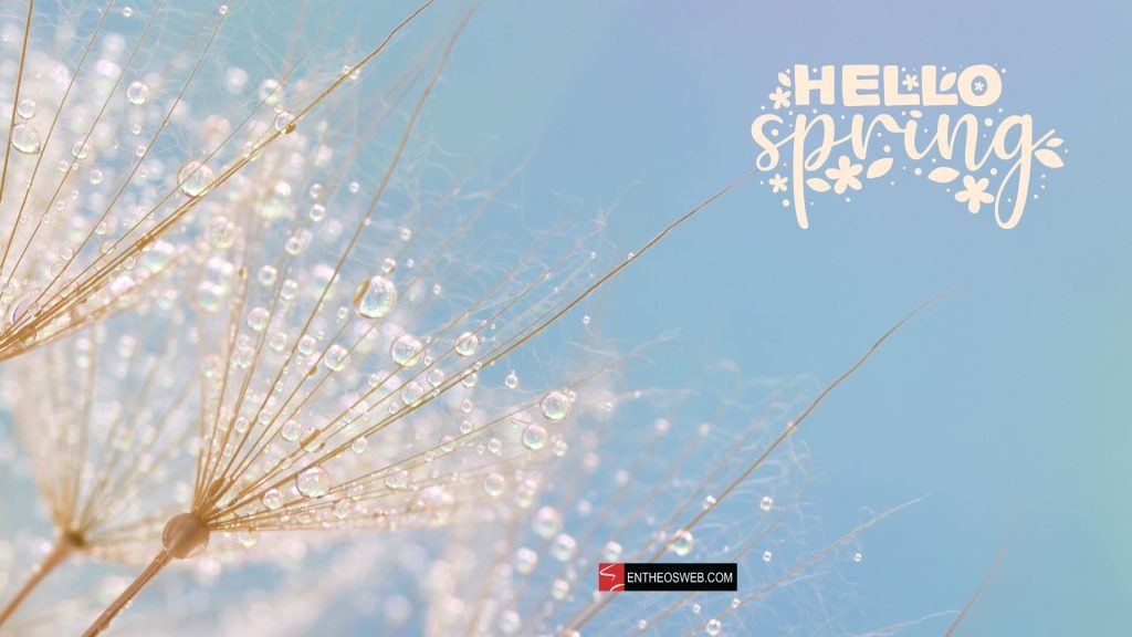 Hello spring desktop wallpaper