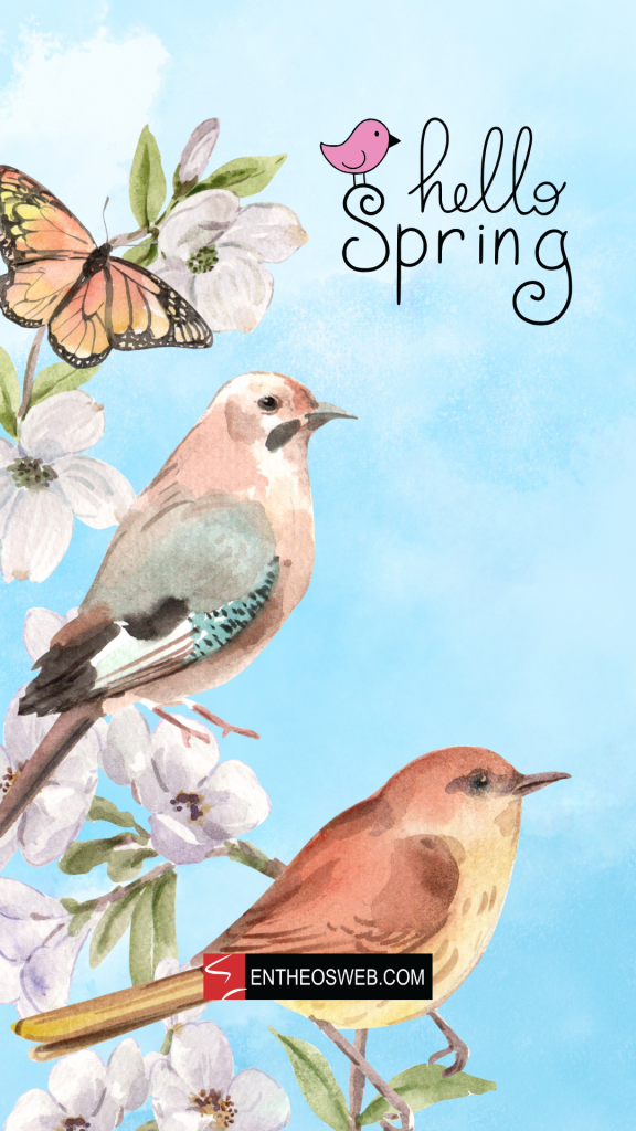 Hello spring birds phone wallpaper by entheosweb 2