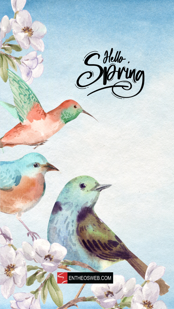 Hello spring birds phone wallpaper by entheosweb 3