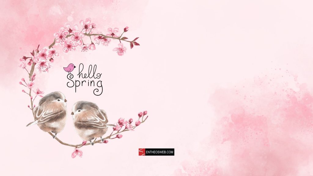 Hello spring desktop wallpaper   2 birds