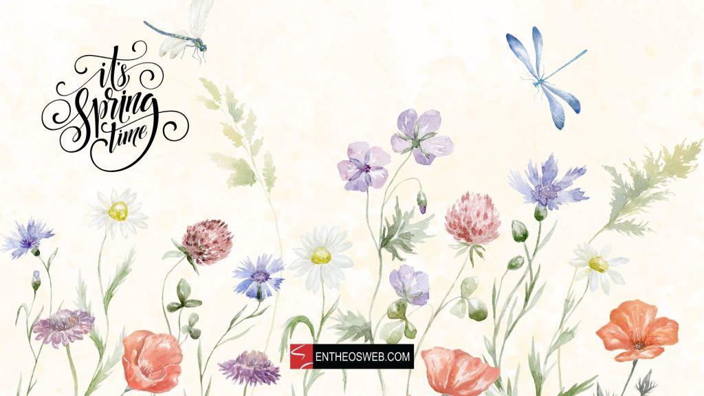 It's Spring Time Desktop Wallpaper