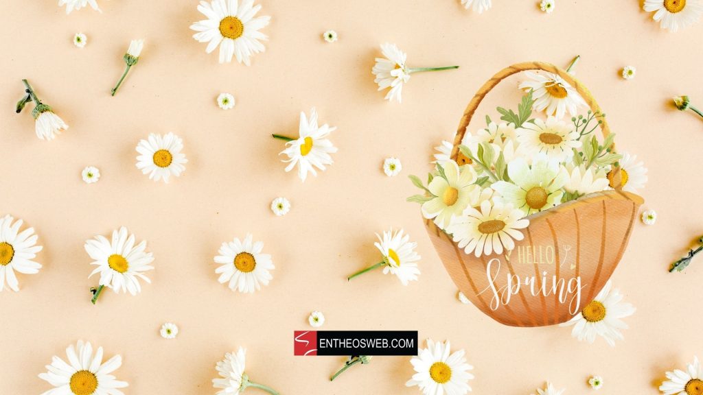 Hello spring desktop wallpaper