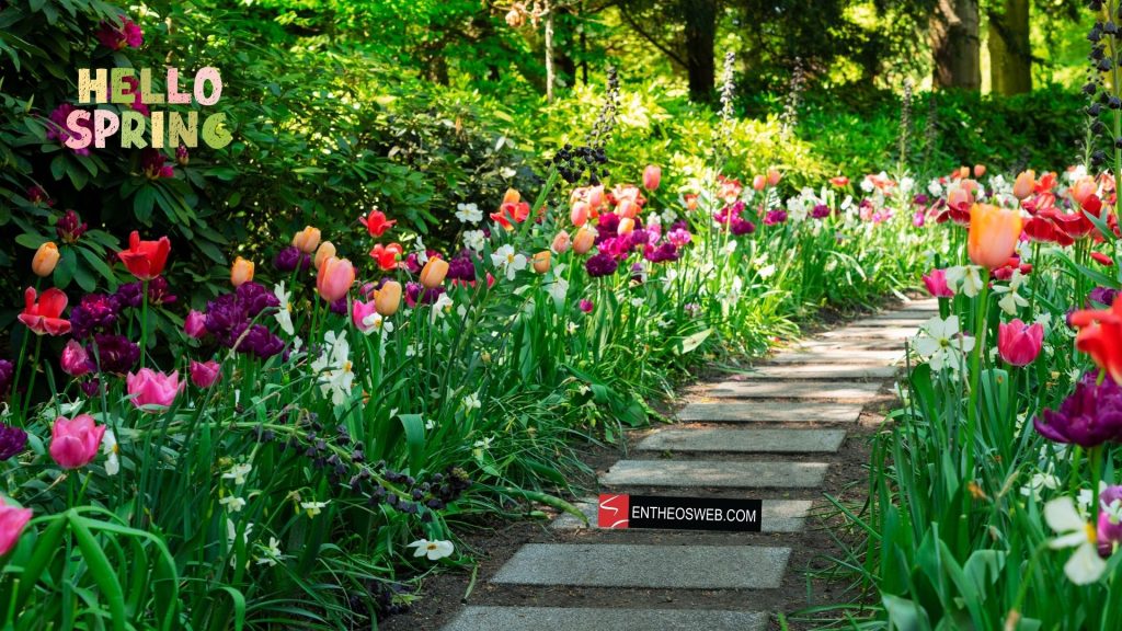 Hello spring desktop wallpaper