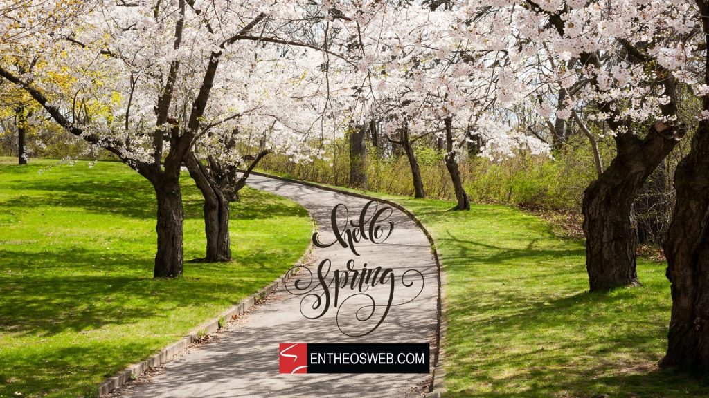 Hello spring desktop wallpaper