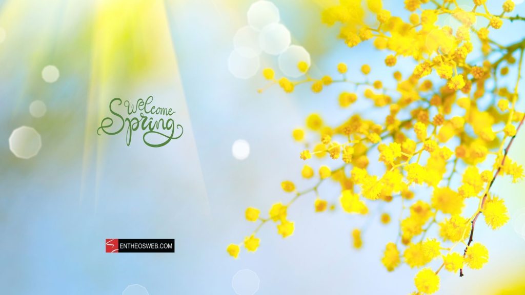 Hello spring desktop wallpaper