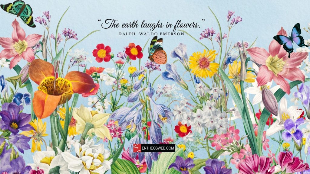 The earth laughs in flowers