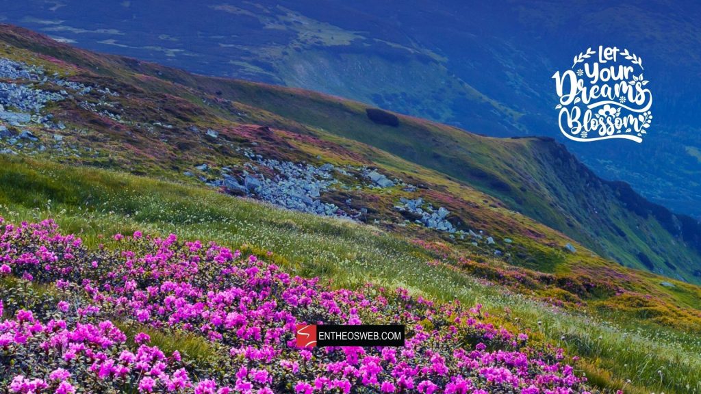 Let your dreams blossom