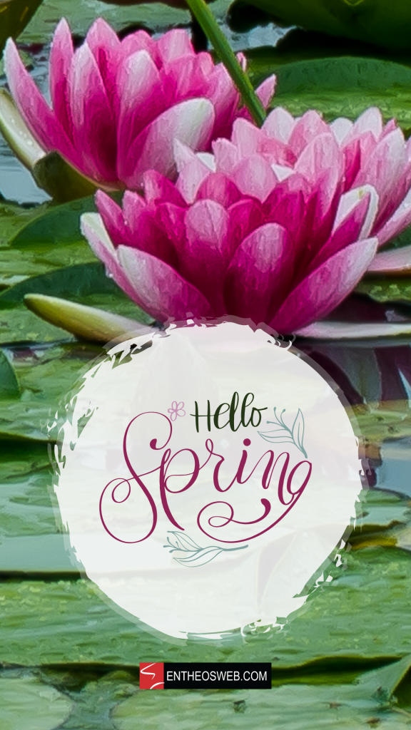 Lotus background hello spring phone wallpaper by entheosweb