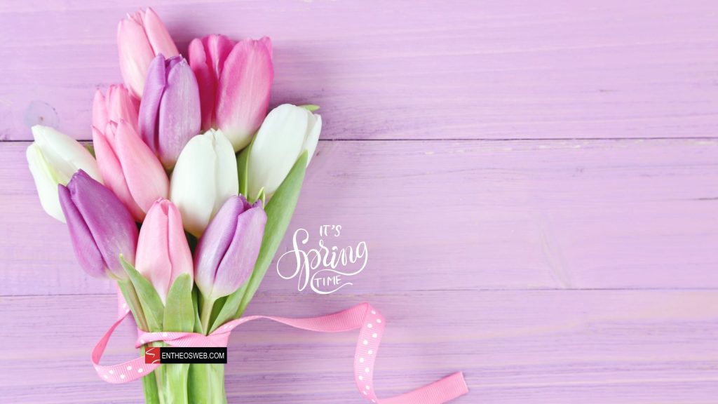 It's Spring Time Tulips