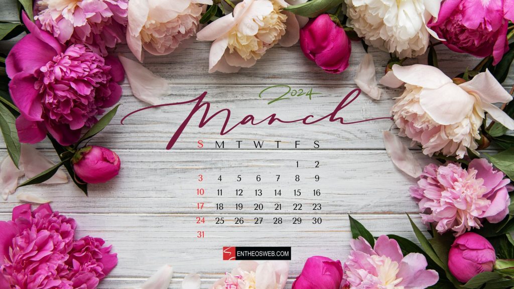 Pink and white flowers march 2024 desktop wallpaper by entheosweb