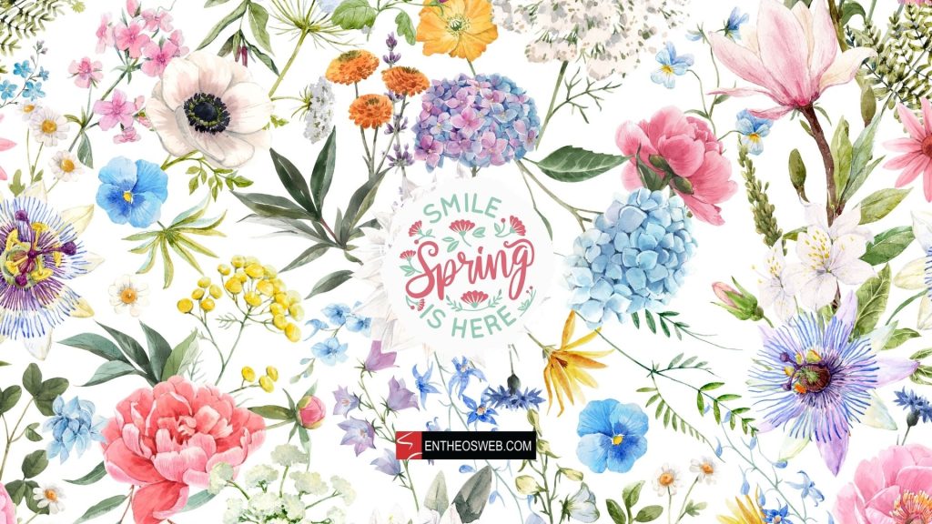 Smile spring is here flowers wallpaper background
