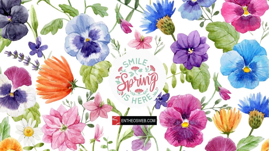 Smile spring is here   colorful flowers desktop wallpaper