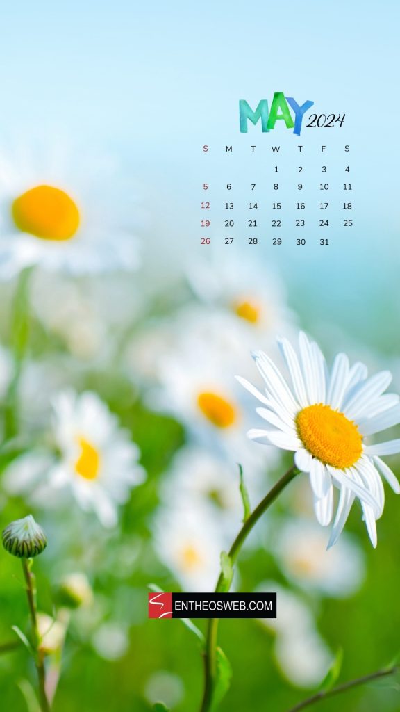 Daisy may 2024 phone wallpaper calendar