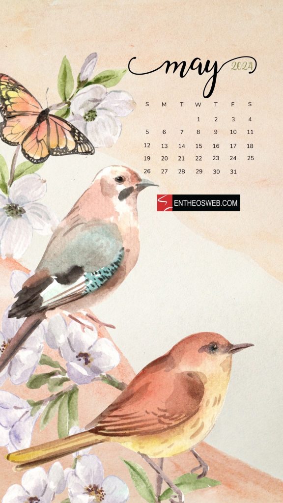 Birds may 2024 phone wallpaper calendar