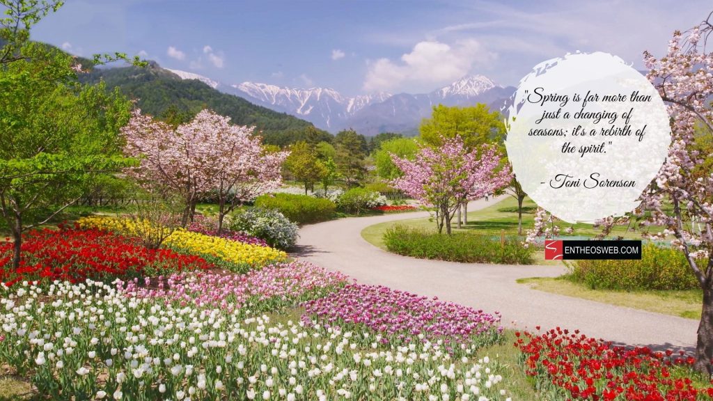Spring wallpaper by entheosweb 1