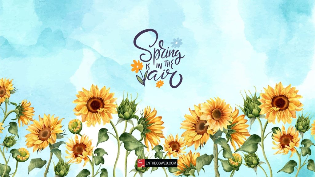 Sunflowers spring is in the air watercolor wallpaper background
