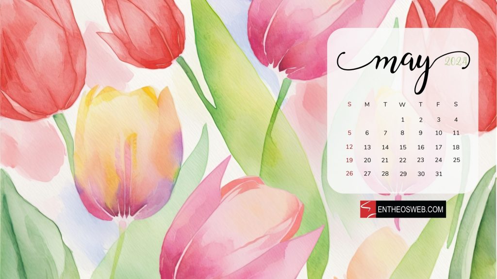 Tulips may 2024 calendar desktop wallpaper