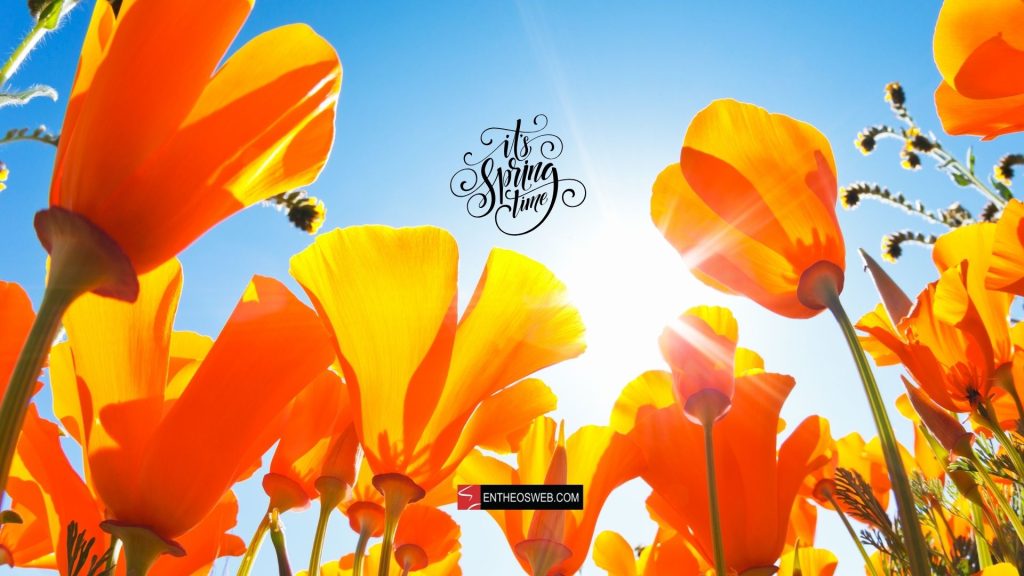 Its spring time