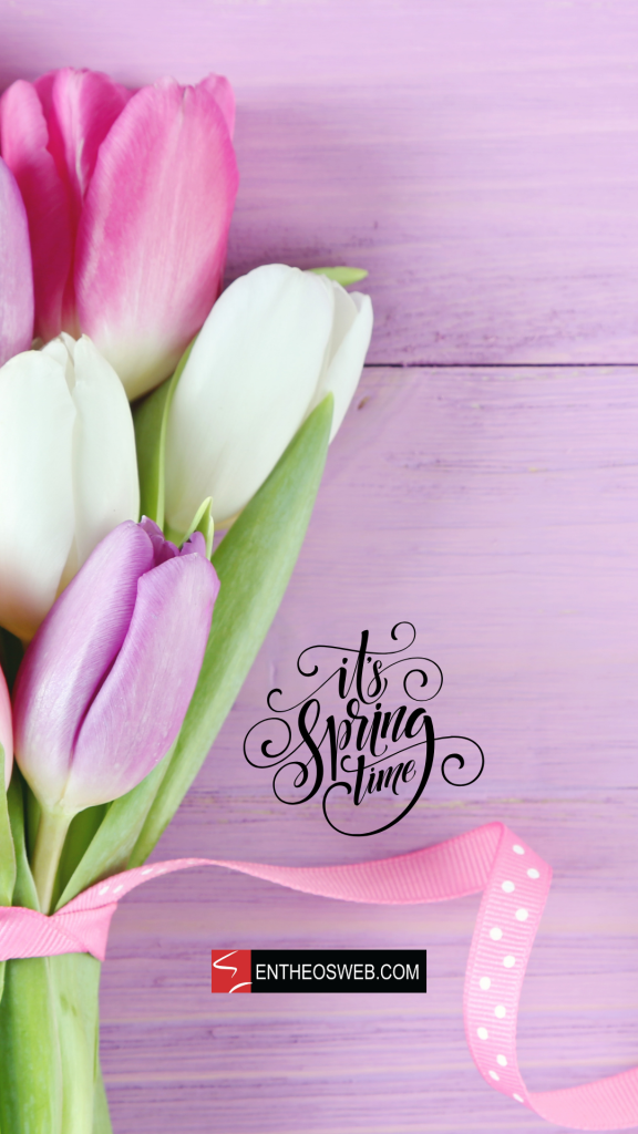 Tulips its spring time phone wallpaper by entheosweb