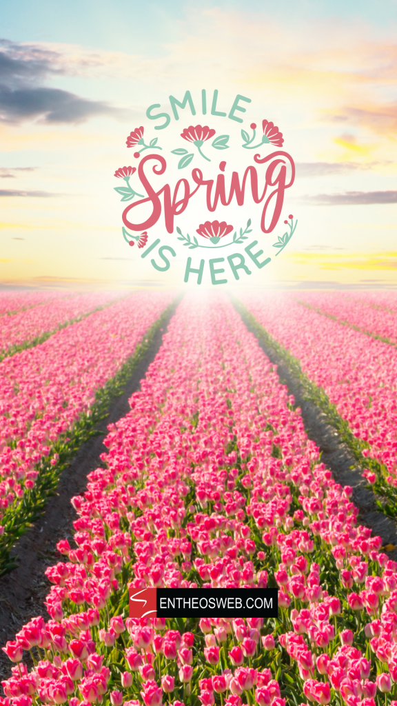 Tulips smile spring is here phone wallpaper by entheosweb