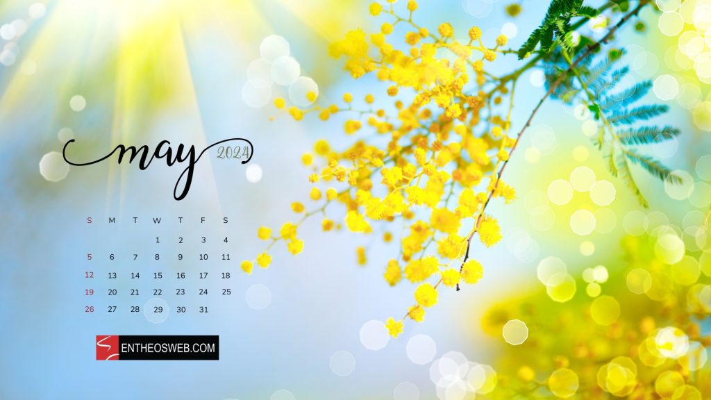 Spring may 2024 calendar desktop wallpaper