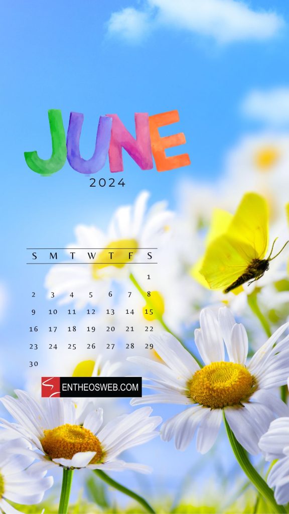 Daisies june 2024 phone wallpaper calendar
