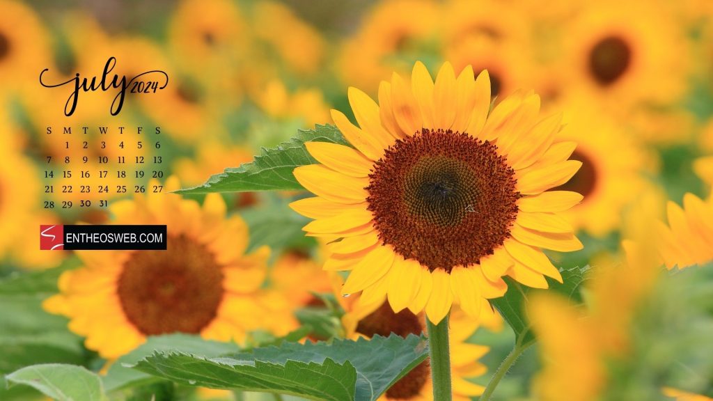 July 2024 desktop wallpaper calendar
