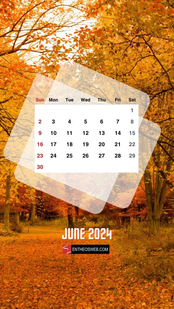 June 2024 phone wallpapers