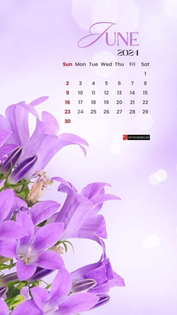 June 2024 phone wallpaper