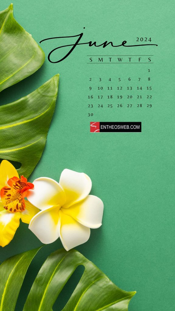June 2024 phone wallpaper calendar 11