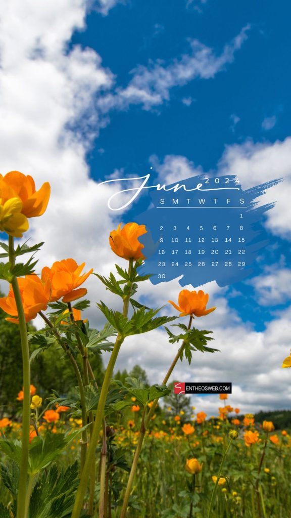 June 2024 phone wallpaper calendar 5